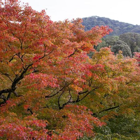 Osaka Ya Namba 호스텔 외부 사진