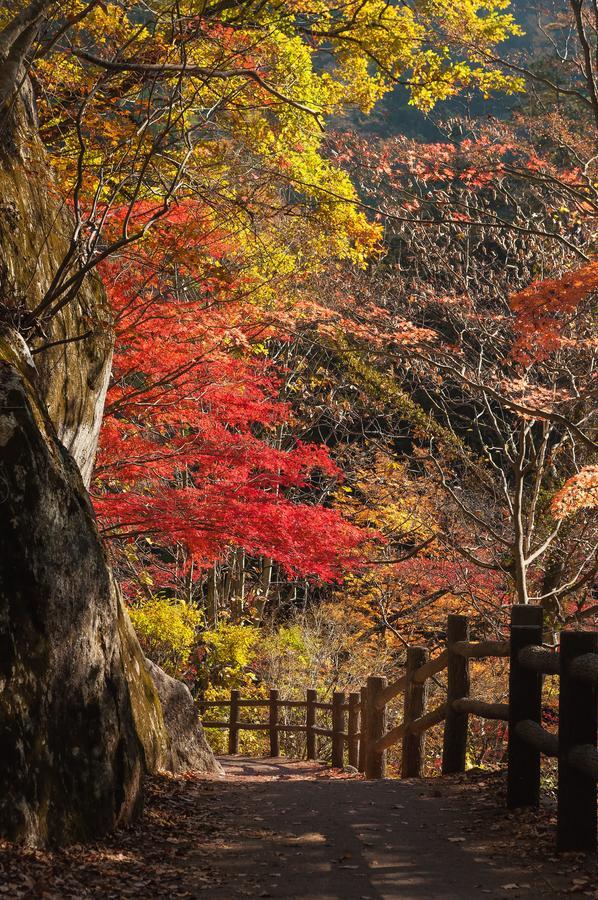 Osaka Ya Namba 호스텔 외부 사진